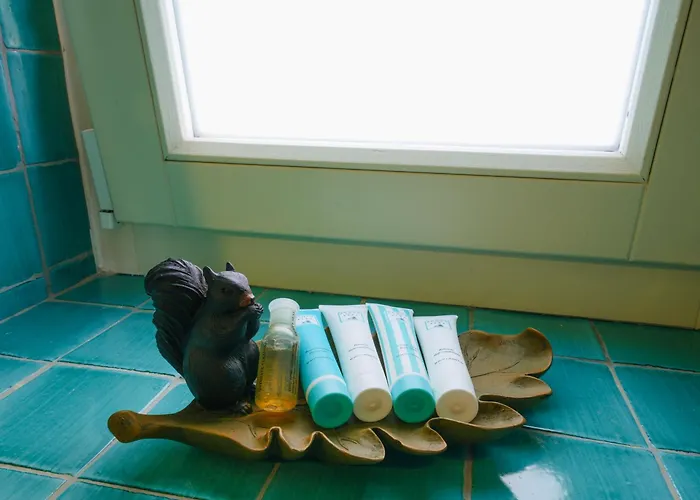 住宿加早餐酒店 Gialisa 4*